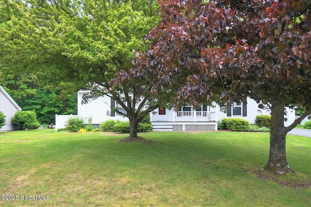 23 Hilton Dr, Moreau, NY 12803 - view of green lawn with covered porch