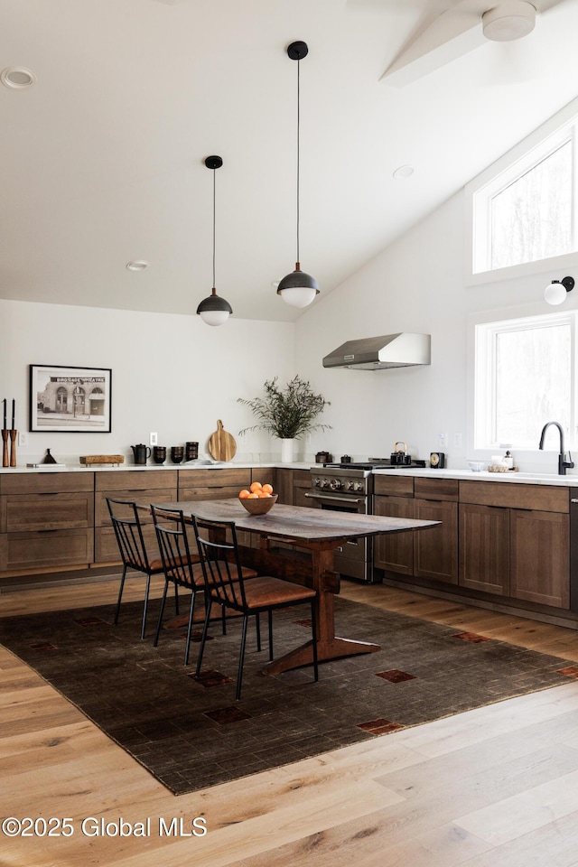 829 Jefferson Rd, Nassau, NY 12123 - kitchen featuring a sink, lofted ceiling, dark wood-type flooring, ventilation hood, and high end range