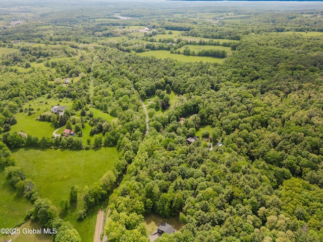 829 Jefferson Rd, Nassau, NY 12123 - bird's eye view of a forest