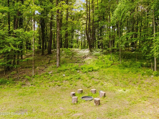 829 Jefferson Rd, Nassau, NY 12123 - view of undeveloped land