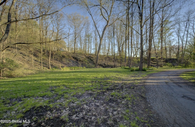 view of road