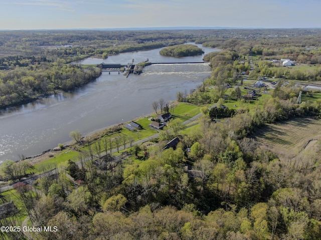 birds eye view of property featuring a water view and a wooded view