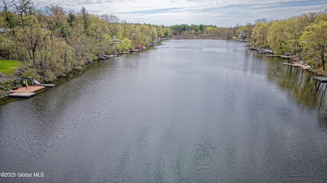 view of water feature featuring a boat dock and a forest view