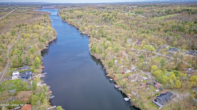 bird's eye view with a water view and a wooded view