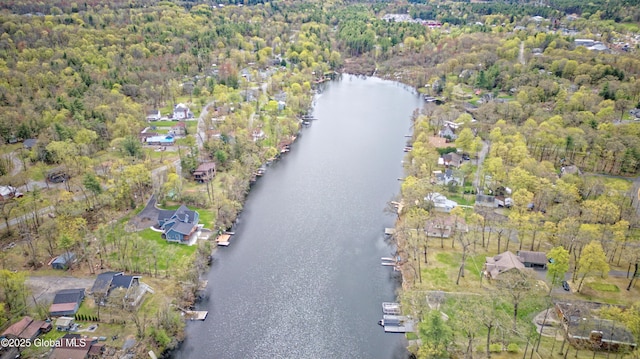birds eye view of property featuring a water view and a wooded view