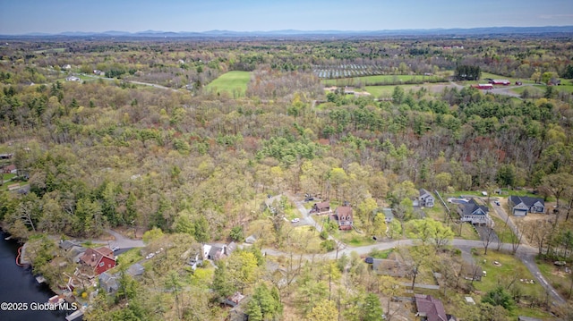 birds eye view of property with a residential view and a wooded view