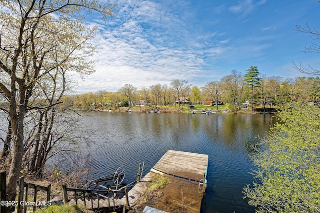view of dock with a water view