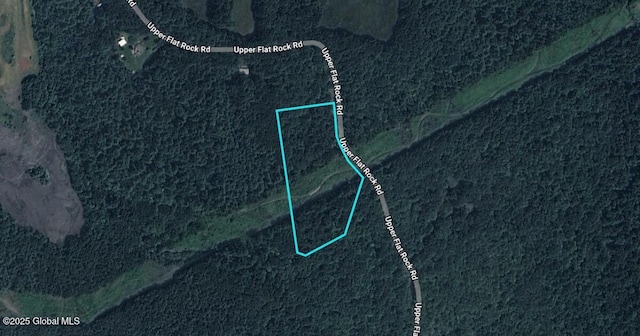 L22 Upper Flat Rock Rd, New Scotland, NY 12186