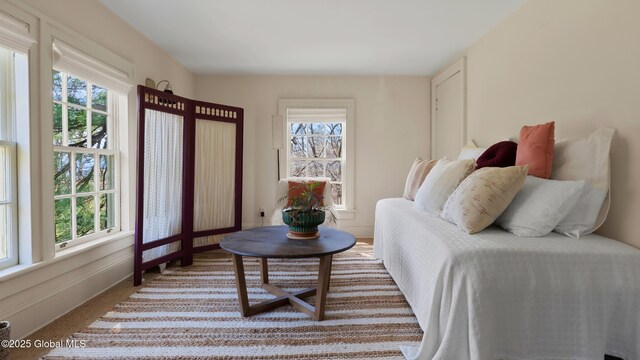 1368 Sunset Rd, Schodack, NY 12033 - photo 40