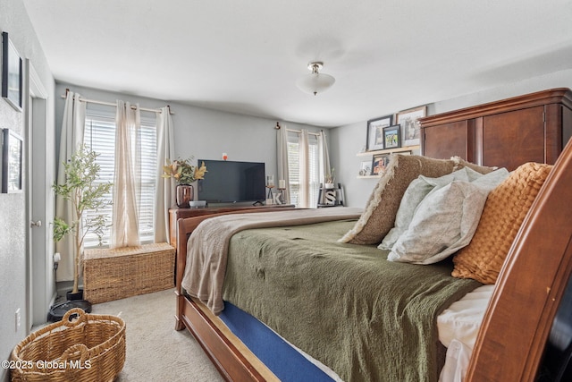 bedroom featuring carpet