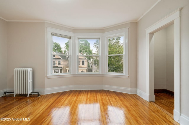 18 Bertha St, Albany, NY 12209 - interior space with radiator, a healthy amount of sunlight, and light wood-style floors