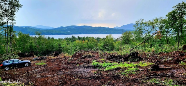 L13.7 US Route 9, Schroon, NY 12870