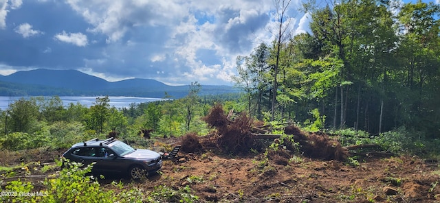 L13.7 US Route 9, Schroon, NY 12870