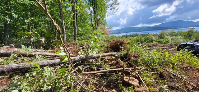 L13.7 US Route 9, Schroon, NY 12870