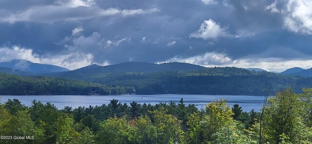 L13.7 US Route 9, Schroon, NY 12870