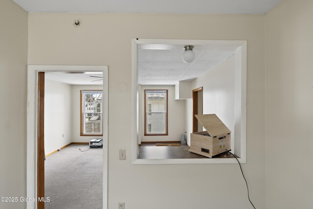 100 3rd St, Waterford, NY 12188 - hallway featuring carpet floors and baseboards