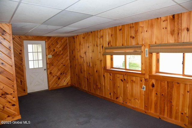 empty room featuring wooden walls, carpet flooring, and a wealth of natural light