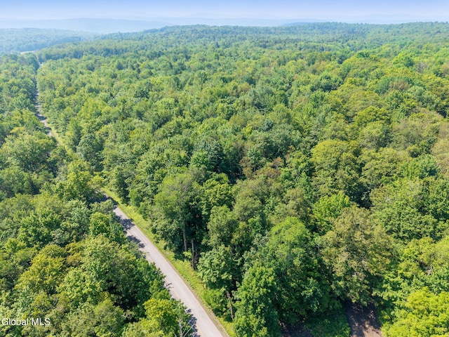 135 Dragoo Rd, Maryland, NY 12155 - photo 8