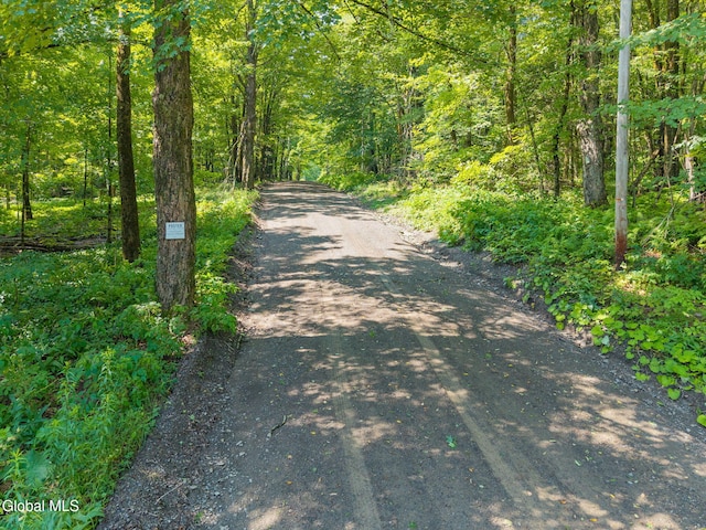 135 Dragoo Rd, Maryland, NY 12155 - photo 2