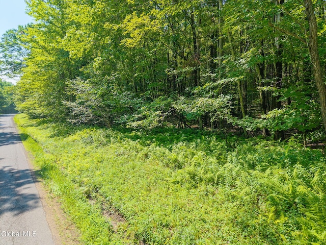 135 Dragoo Rd, Maryland, NY 12155 - photo 10