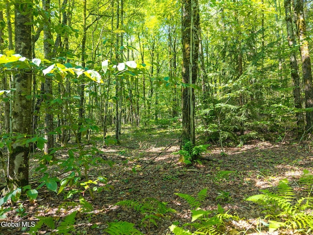 135 Dragoo Rd, Maryland, NY 12155 - photo 1