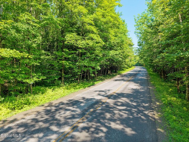 135 Dragoo Rd, Maryland, NY 12155 - photo 7