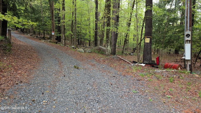 75 Carey Rd, Day, NY 12835 - photo 4