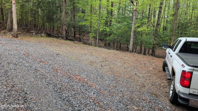 75 Carey Rd, Day, NY 12835 - photo 7