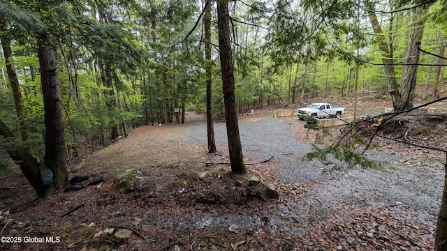 75 Carey Rd, Day, NY 12835 - photo 20