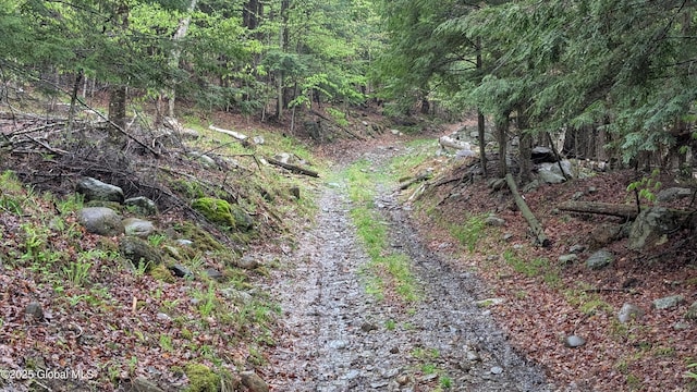 75 Carey Rd, Day, NY 12835 - photo 21