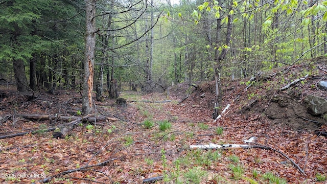 75 Carey Rd, Day, NY 12835 - photo 26