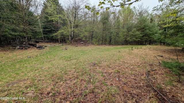 75 Carey Rd, Day, NY 12835 - photo 27