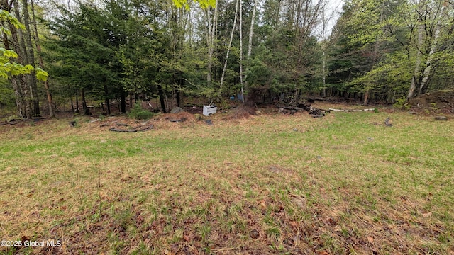 75 Carey Rd, Day, NY 12835 - photo 28