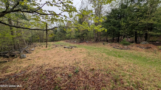 75 Carey Rd, Day, NY 12835 - photo 29