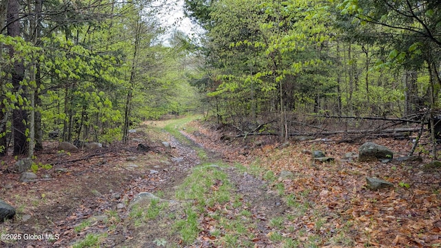 75 Carey Rd, Day, NY 12835 - photo 30