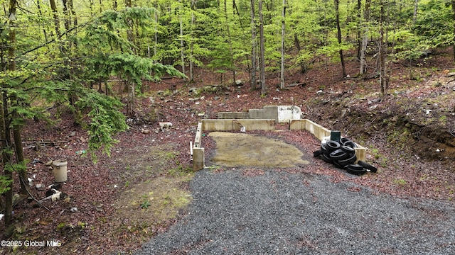 75 Carey Rd, Day, NY 12835 - photo 9