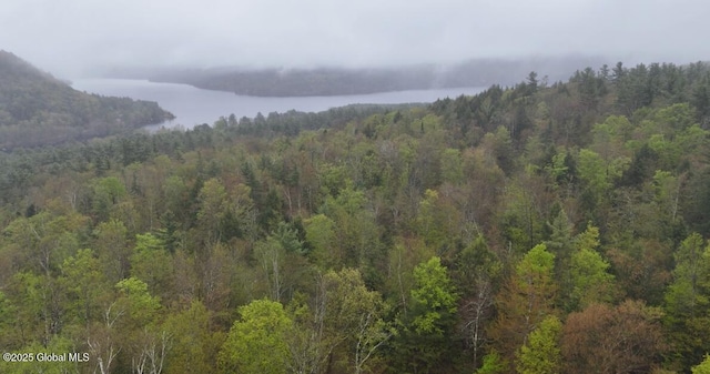 75 Carey Rd, Day, NY 12835 - photo 3