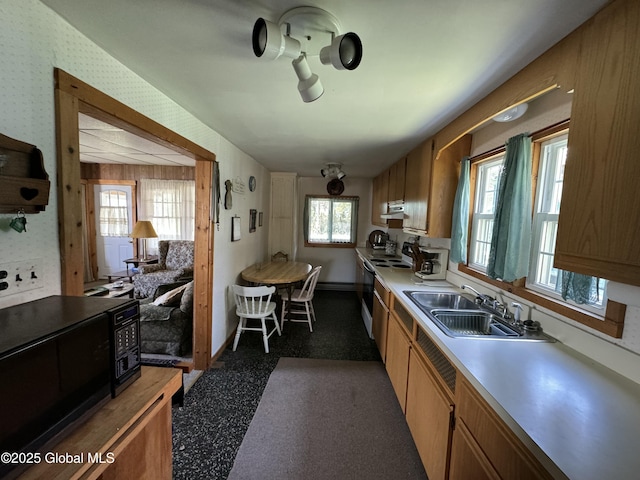 113 Forest Ave, Caroga, NY 12032 - kitchen with black microwave, baseboards, electric range oven, under cabinet range hood, and a sink