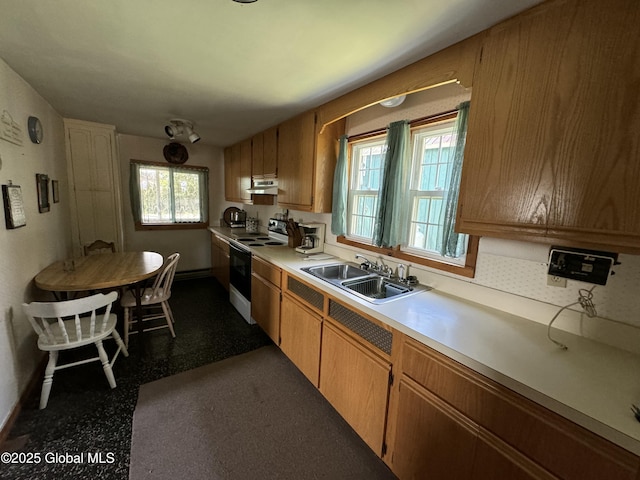 113 Forest Ave, Caroga, NY 12032 - kitchen featuring electric range oven, a sink, baseboards, light countertops, and under cabinet range hood