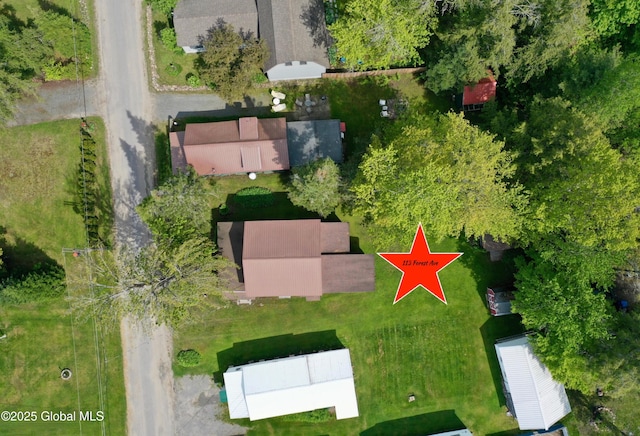 113 Forest Ave, Caroga, NY 12032 - aerial view