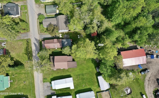 113 Forest Ave, Caroga, NY 12032 - bird's eye view