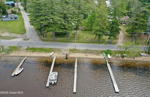 113 Forest Ave, Caroga, NY 12032 - exterior space with a water view