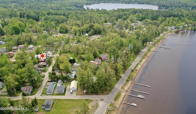 113 Forest Ave, Caroga, NY 12032 - birds eye view of property with a water view and a wooded view