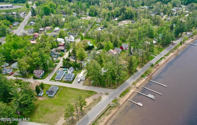 113 Forest Ave, Caroga, NY 12032 - birds eye view of property featuring a residential view and a water view