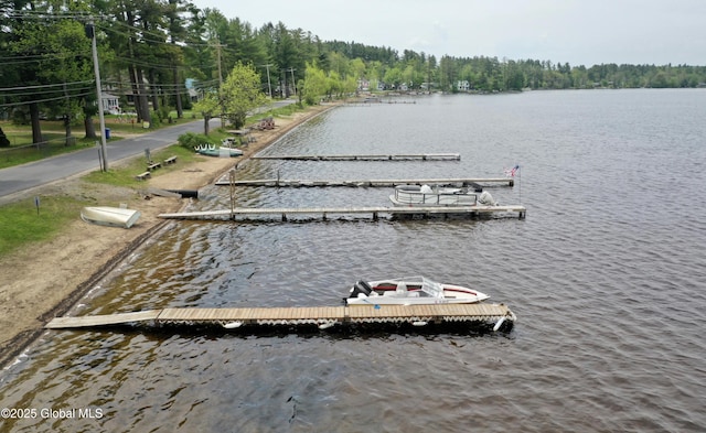 113 Forest Ave, Caroga, NY 12032 - view of dock featuring a water view and a wooded view