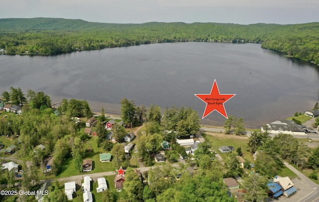 113 Forest Ave, Caroga, NY 12032 - bird's eye view featuring a view of trees and a water view