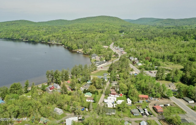 113 Forest Ave, Caroga, NY 12032 - birds eye view of property with a forest view and a water and mountain view