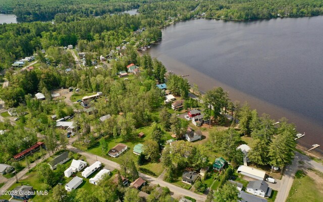 113 Forest Ave, Caroga, NY 12032 - drone / aerial view with a water view and a wooded view