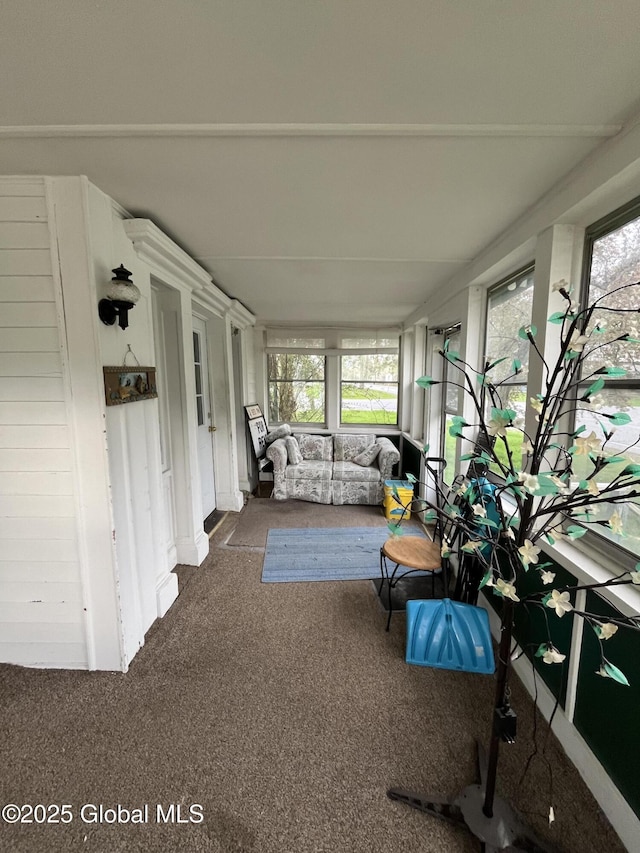 sunroom / solarium featuring carpet and a wealth of natural light