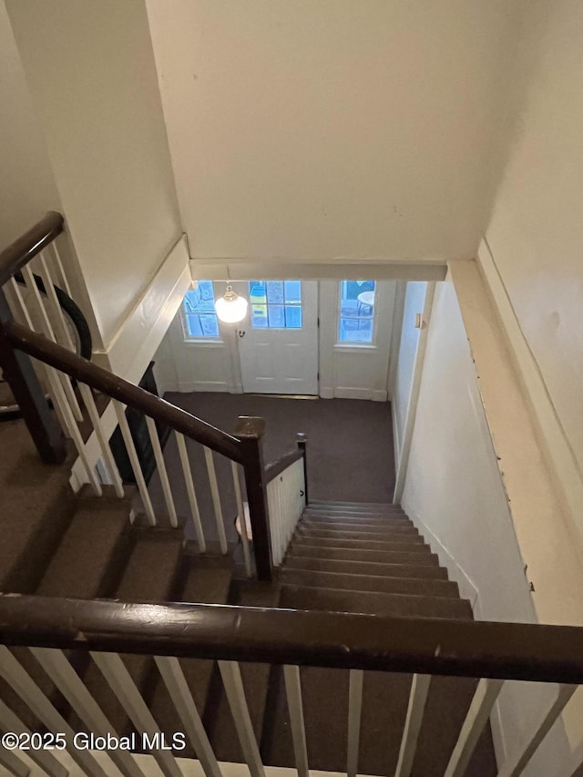 staircase featuring carpet floors